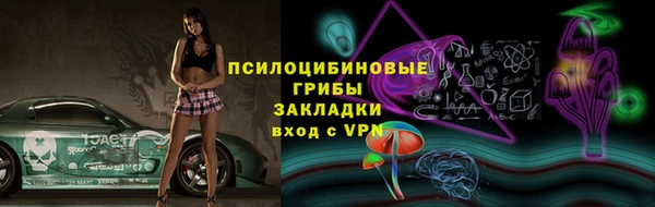 тгк Осинники